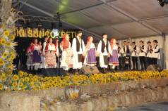 Mini IMG 0214